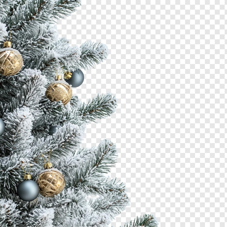 Kostenlose PSD schneebedeckte weihnachtsbäume grenze festliche winter-wunderland-dekorationen