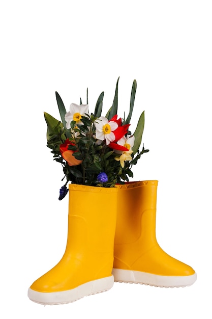 Schöne blumen im stiefel getrennt