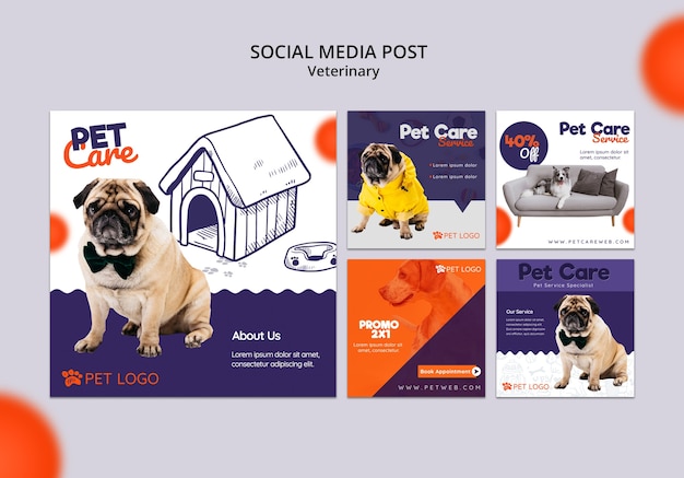 Social Media Post Collection für die Tierpflege