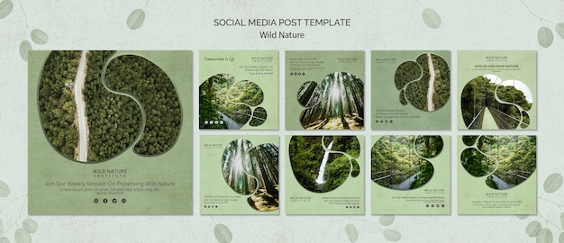 Social Media Post Vorlage mit wilder Natur