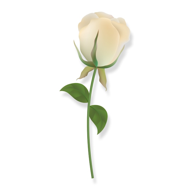 Trauerelement mit weißer Rose