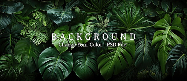 Kostenlose PSD tropische blätter hintergrund dunkelgrüne monstera blätter textur