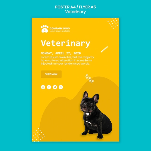 Kostenlose PSD veterinary square flyer vorlage