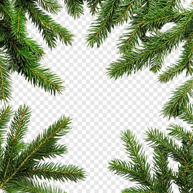Kostenlose PSD weihnachtsrahmen üppig grüne kiefernzweige an einem durchsichtigen hintergrund perfekt für festliche designs und urlaubsgrüße