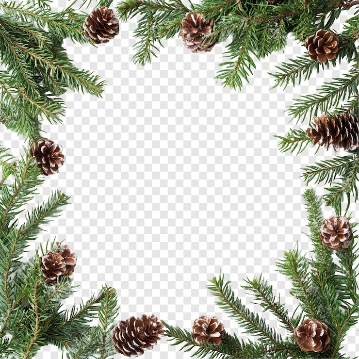 Kostenlose PSD winterferienrahmen feierliche tannenzweige und kiefernkegel