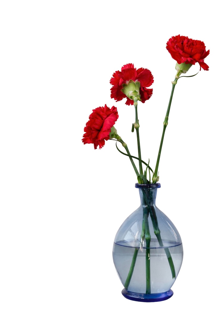 Kostenlose PSD wunderschönes blumen-headshot-stillleben
