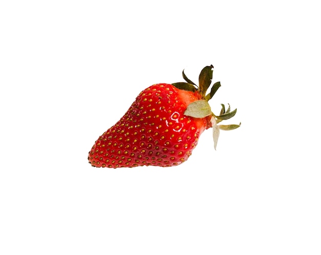 Zusammensetzung aus frischen Früchten