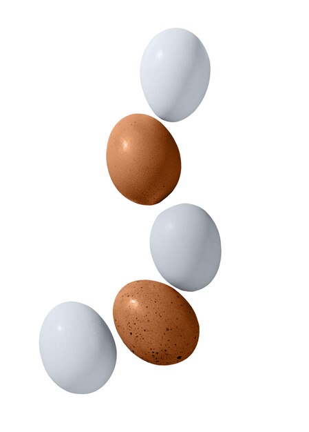 Zusammensetzung frischer Eier