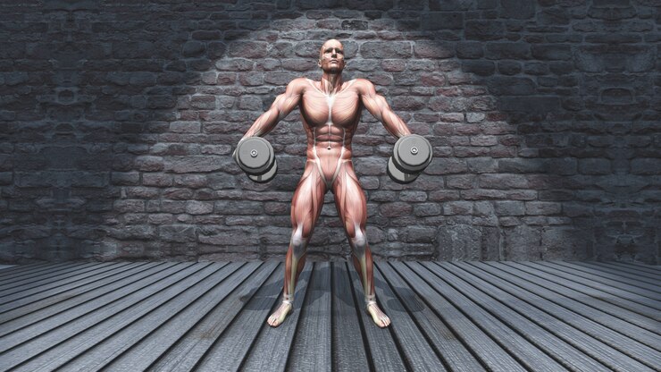 Gratis Foto 3d male figure in dumbbell shoulder shrugs raised pose in grunge interior