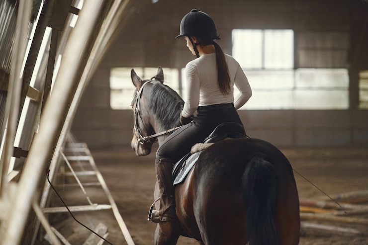 Gratis Foto elegant girl in a farm wiith a horse