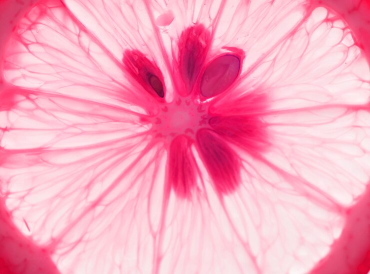 Gratis Foto macro shot of lemon