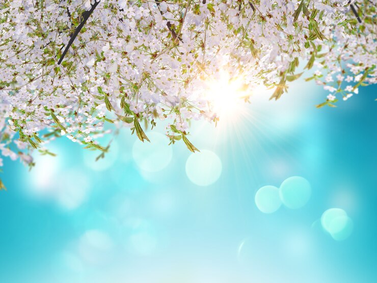 Gratis Bild 3d cherry blossom leaves on a blue sky background