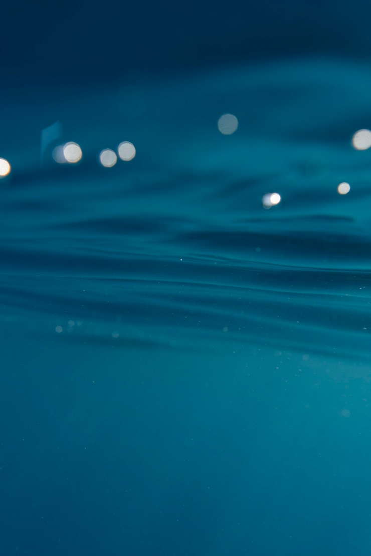 Gratis Bild beautiful underwater landscape