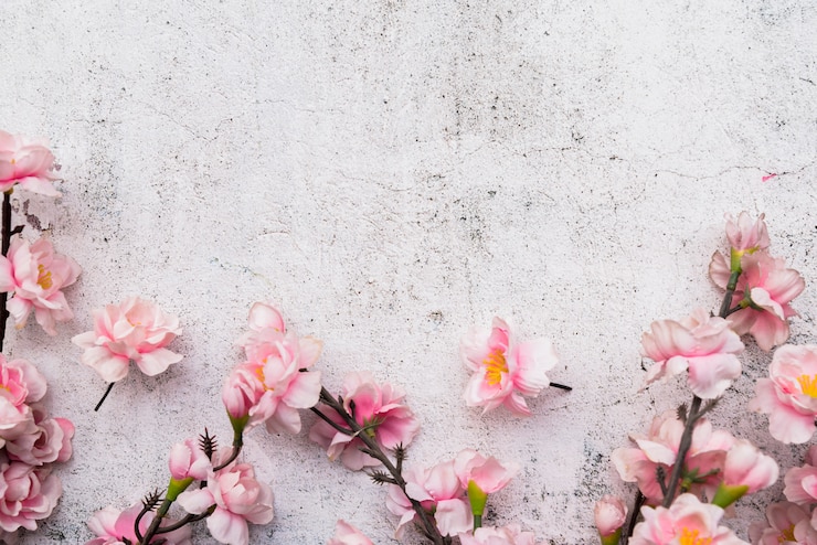 Gratis Bild chinese new year concept with copyspace