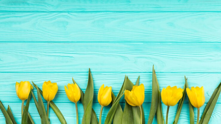 Gratis Bild flat lay composition of flowers with copyspace