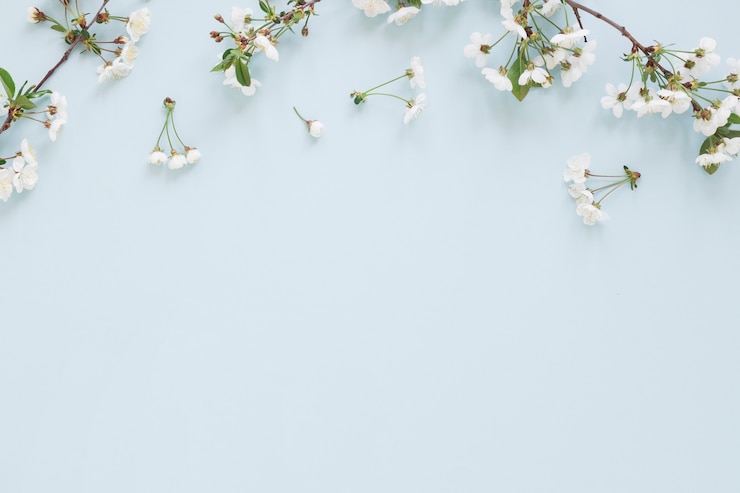 Gratis Bild flowers