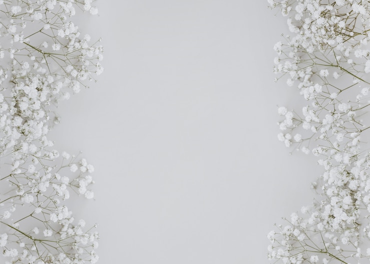 Gratis Bild gypsophila on gray background with copy space in the center