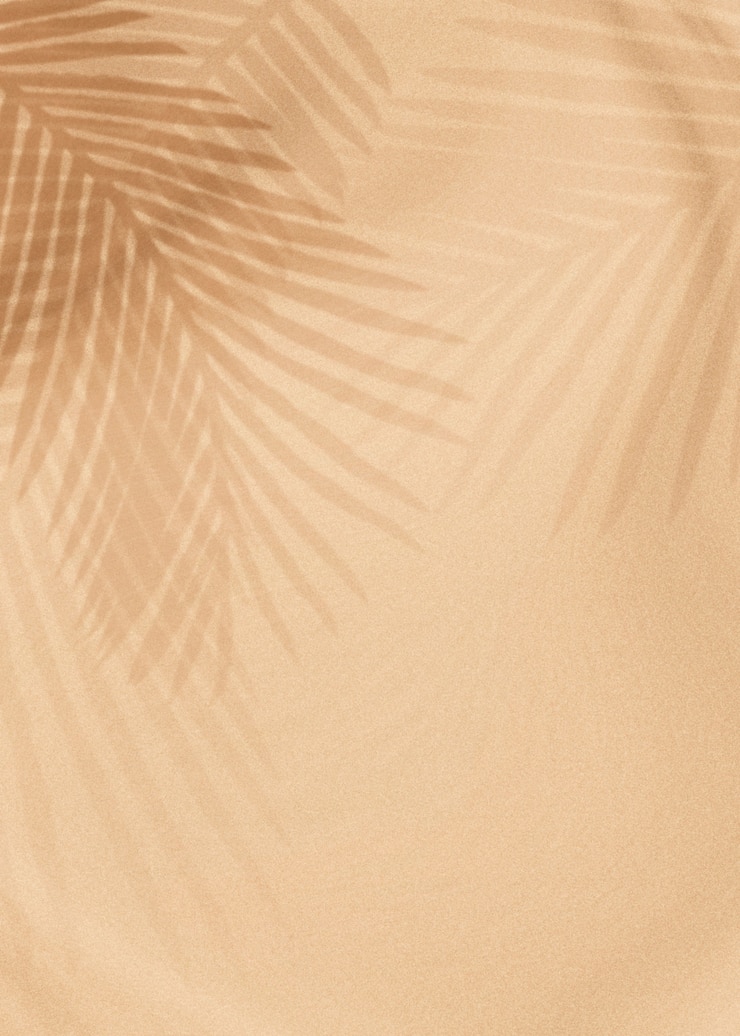 Gratis Bild palm leaves shadow on a beige