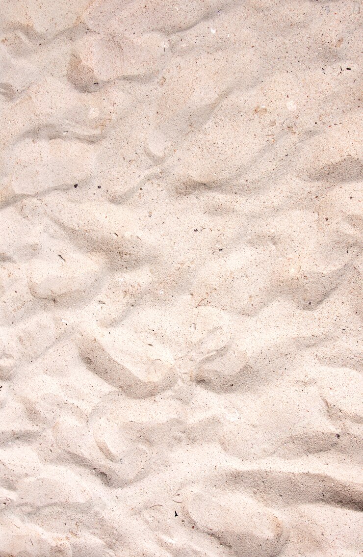 Gratis Bild pattern natural beauty surface macro