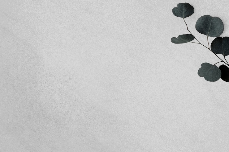 Gratis Bild silver dollar eucalyptus gray background
