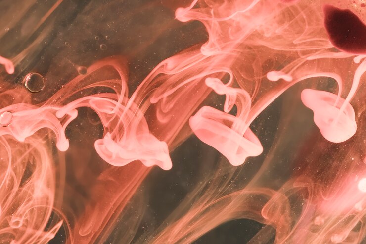 Gratis Bild steam sea jellies dancing