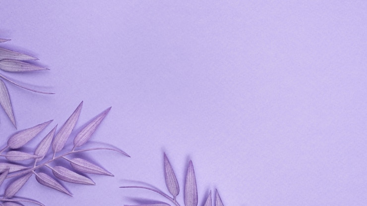 Gratis Bild top view of monochromatic leaves with copy space