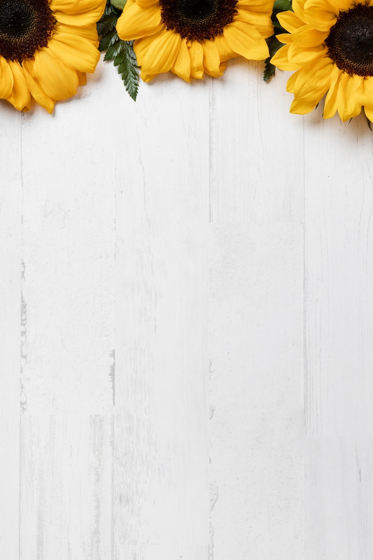 Gratis Bild top view sunflower frame with copy space