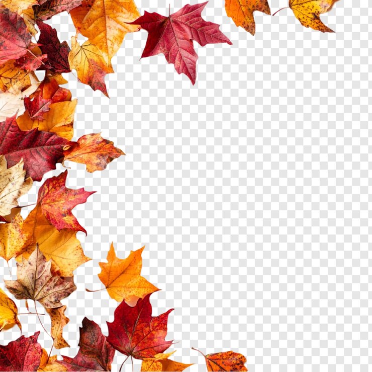 Gratis PSD autumn leaves frame a vibrant collection of red orange and yellow fallen leaves forming a beautiful corner frame perfect for fallthemed designs and backgrounds