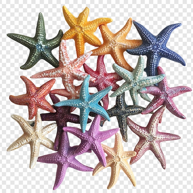 collection of colorful starfish