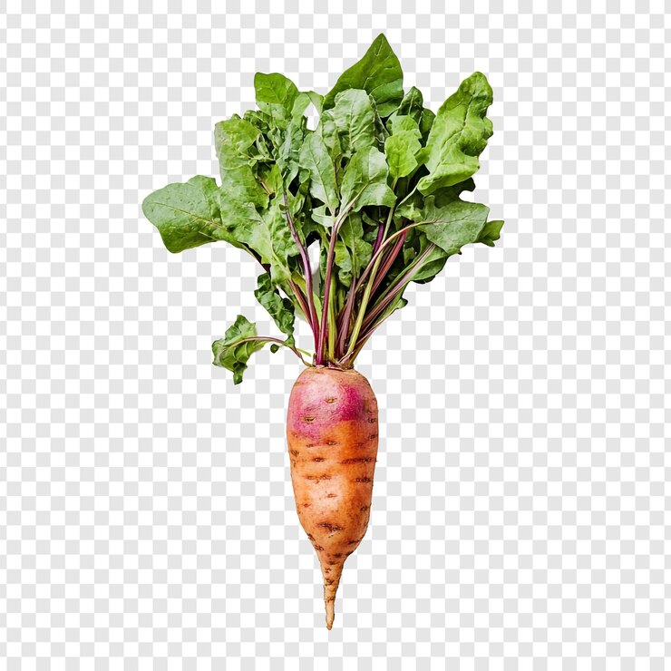 Gratis PSD vibrant beetroot with lush green leaves a fresh healthy vegetable