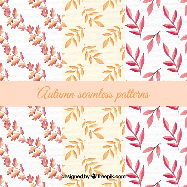 Autumn pattern with leaves