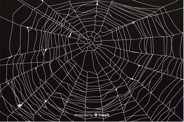 black halloween coweb background