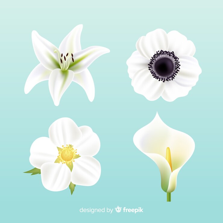 Gratis Vektor blomsterkollektion