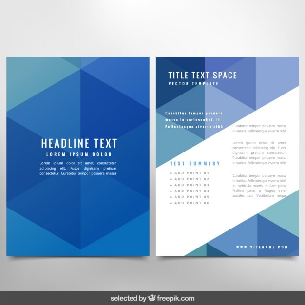 Brochure with blue triangles