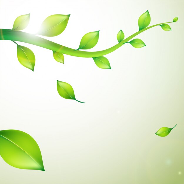  closeup nature view of green leaves, natural green leaves. 