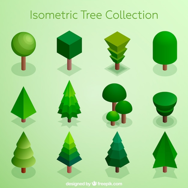 collection of trees in isometric style
