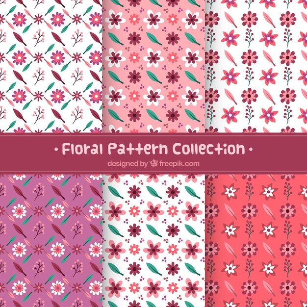 Colorful flowers patterns collection