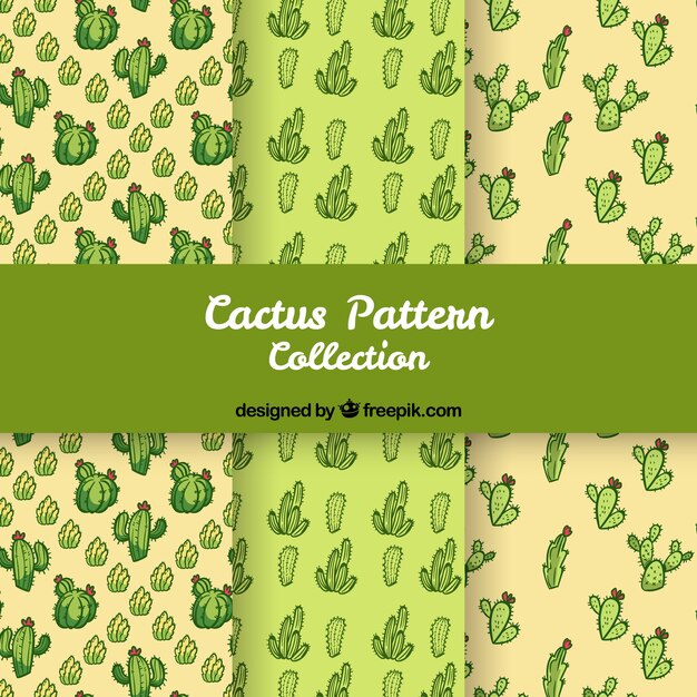 Cute cactus pattern collection