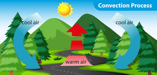 diagram showing the convection process
