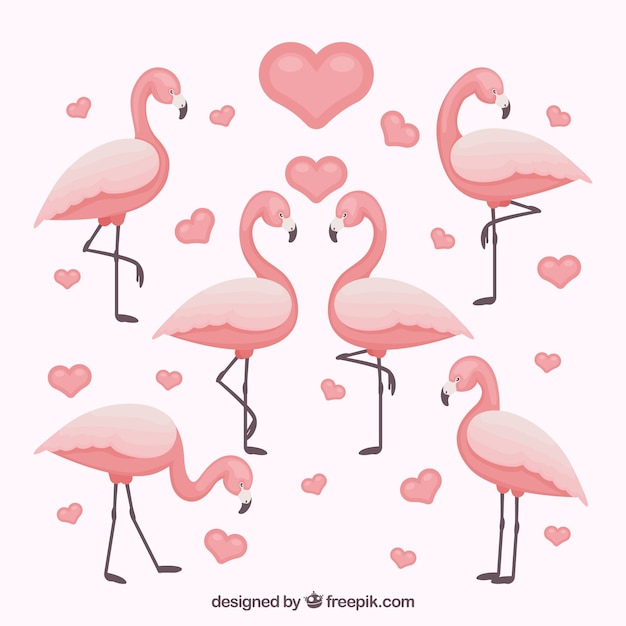 Flamingos collection with different poses in flat style