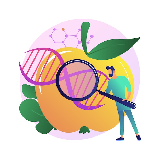 genetically modified foods abstract concept  illustration. genetically modified organism, gm food industry, biotech product, health issue, nutrition safety, disease risk .