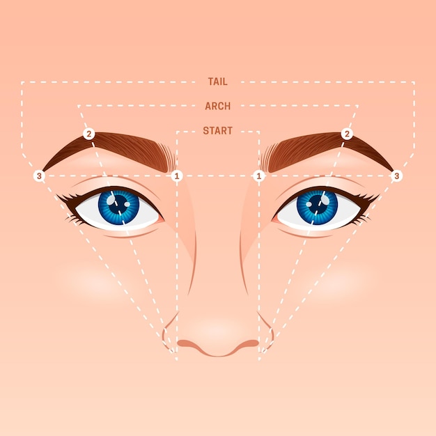 Gradient brow mapping illustration