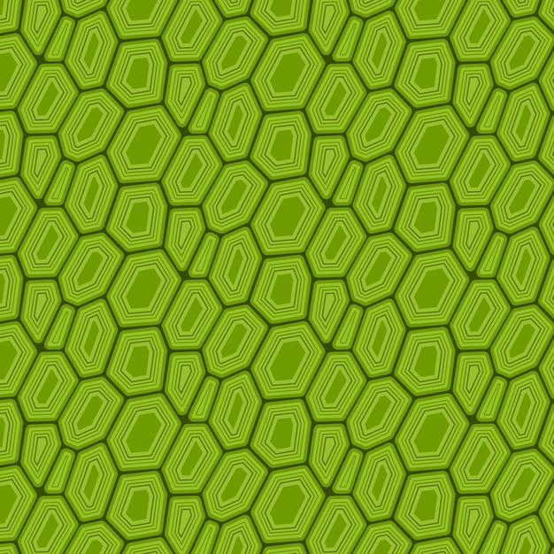 hand drawn turtle shell pattern