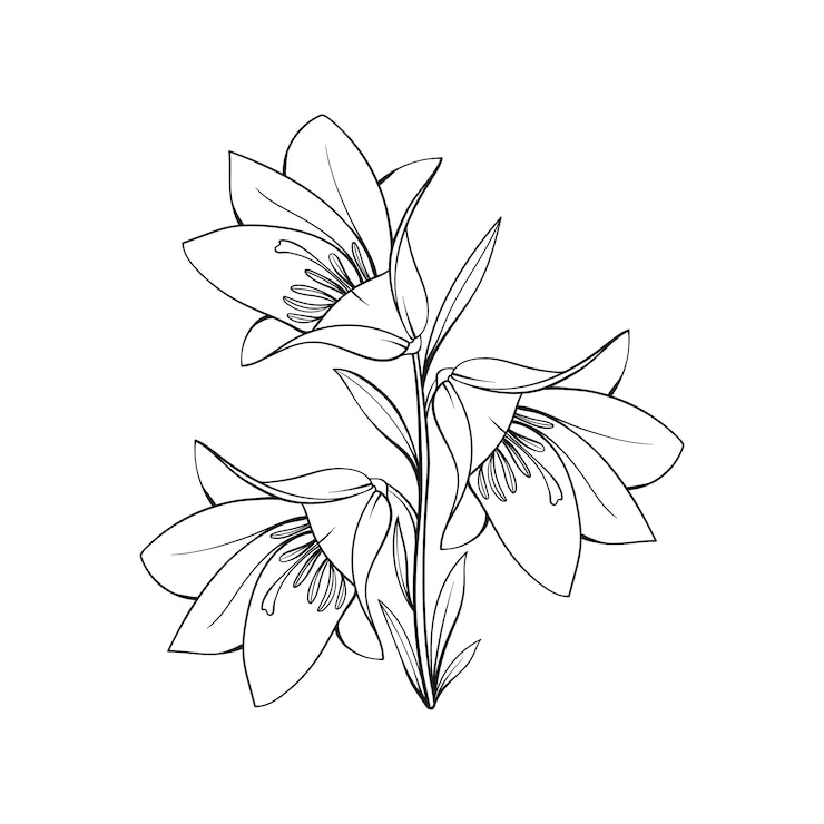 Gratis Vektor håndtegnede flad design simpel blomsterkontur