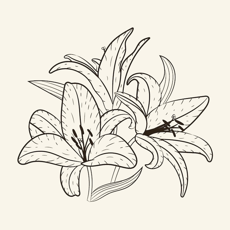 Gratis Vektor håndtegnede simple blomsteromridsillustrationer
