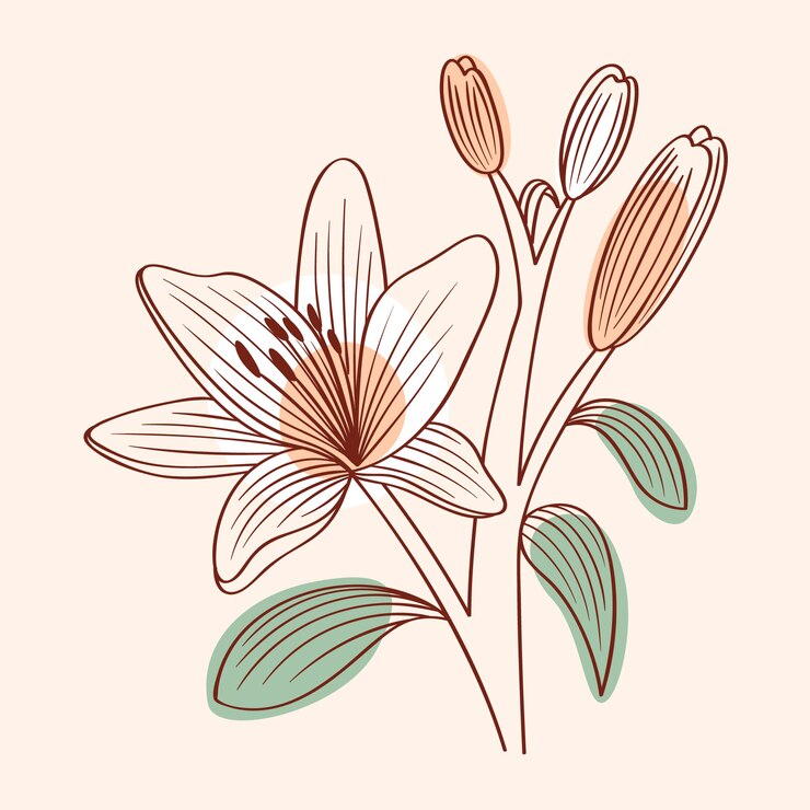 Gratis Vektor håndtegnet simpel blomsterkontur