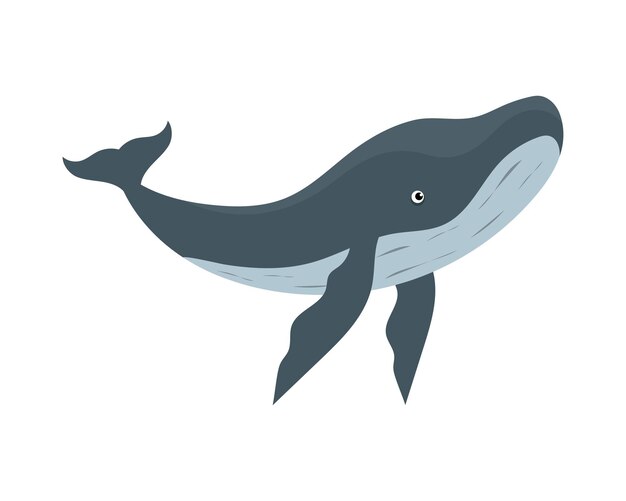 humpback sealife creature