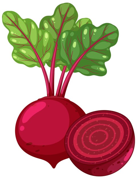 isolated vegetable beetroot cartoon