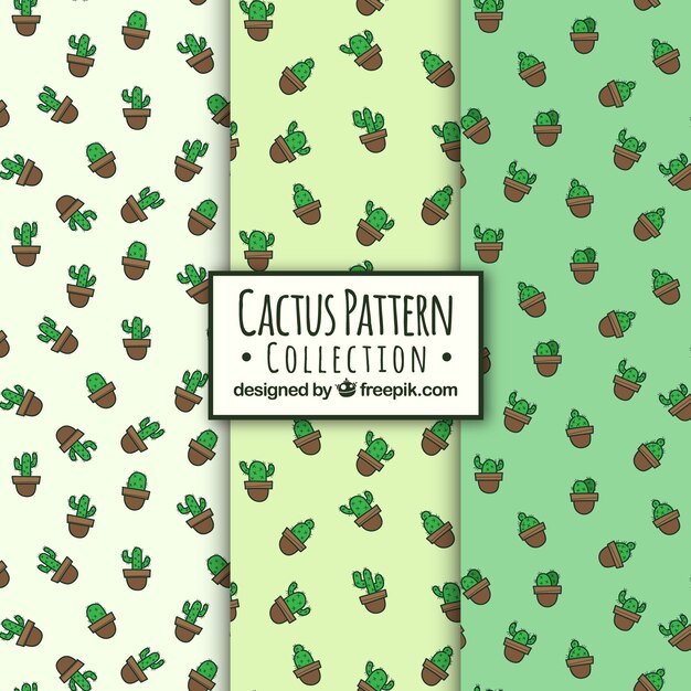 Lovely cactus pattern collectio