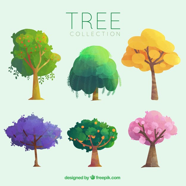 pack of different trees with fruits